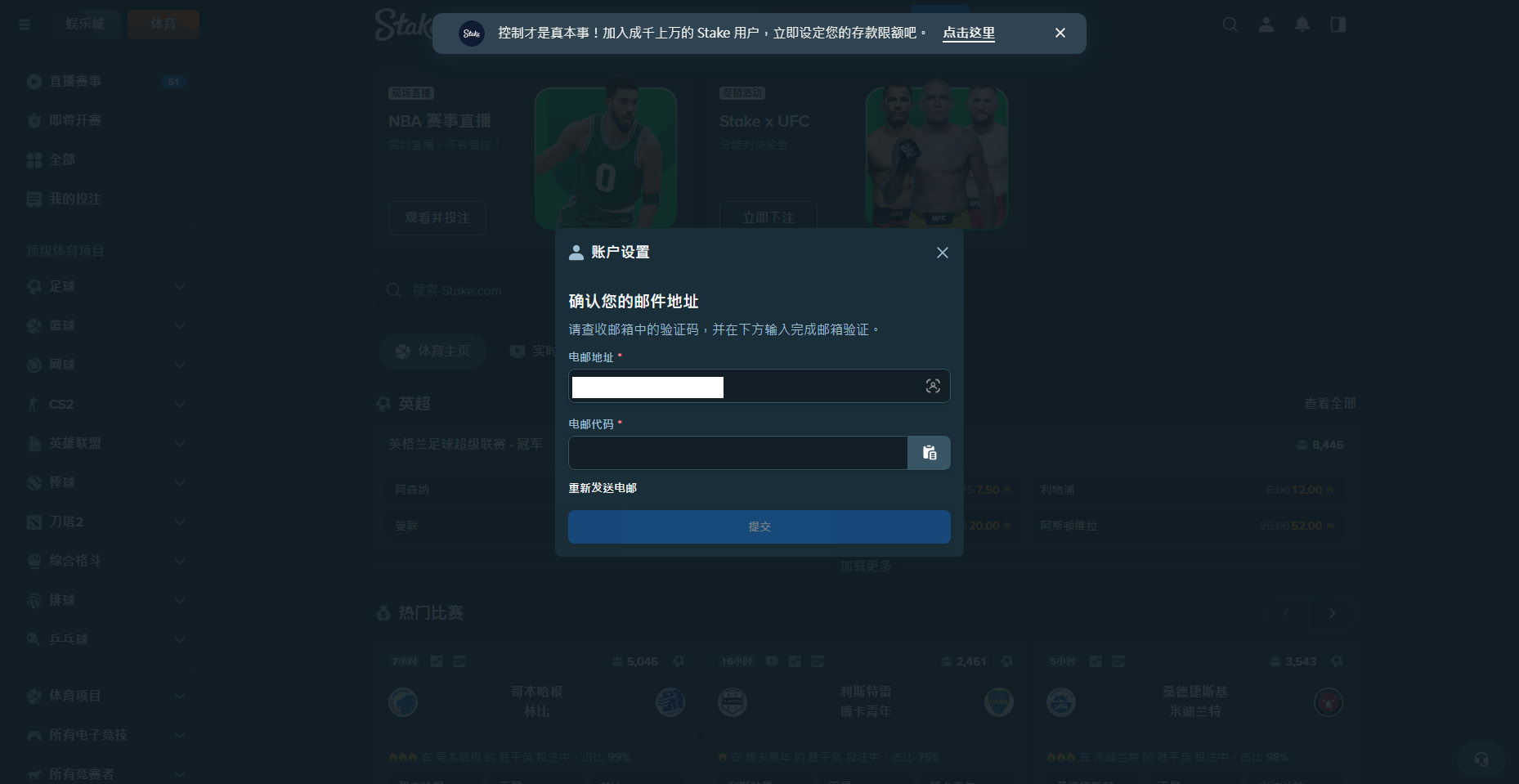 Stake 電郵驗證截圖